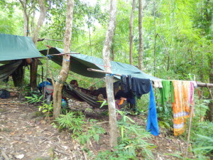 Camp mitten im Dschungel